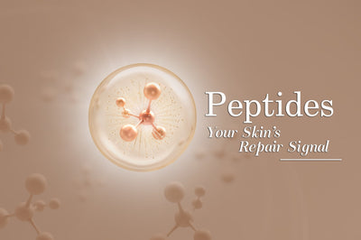 Peptides in Skincare: How They Boost Collagen and Fight Aging